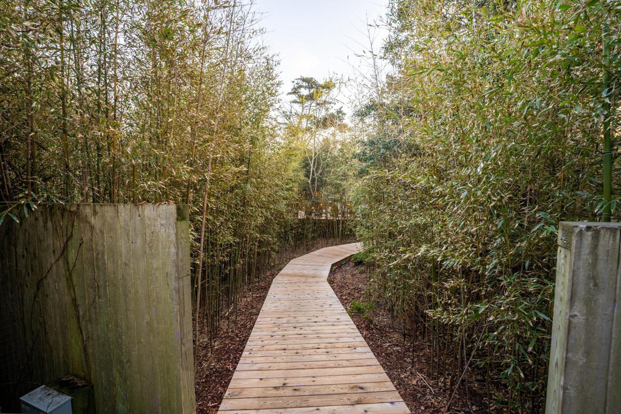 The Madison Fire Island Pines Exterior foto